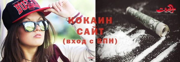 крисы Дмитриев
